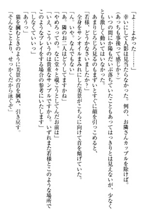 年上メイドの新婚日記 Page #224
