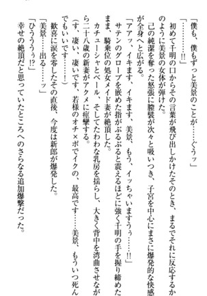 年上メイドの新婚日記 Page #97