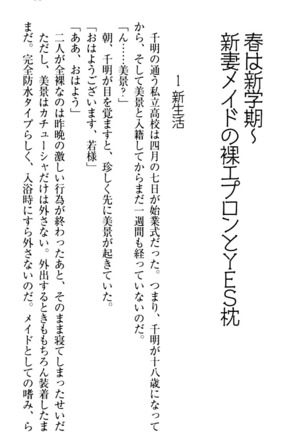 年上メイドの新婚日記 Page #101
