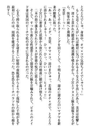 年上メイドの新婚日記 Page #223