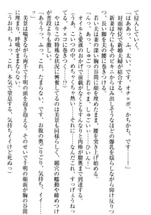 年上メイドの新婚日記 Page #210