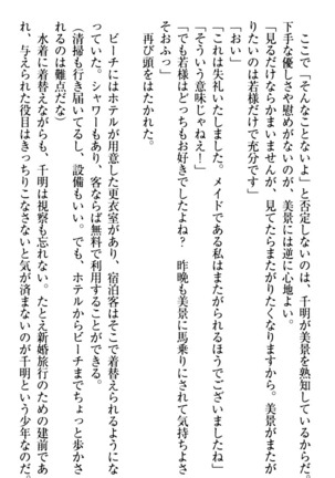 年上メイドの新婚日記 Page #185