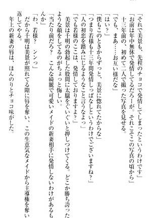 年上メイドの新婚日記 Page #360
