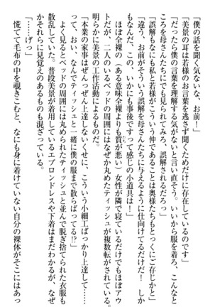 年上メイドの新婚日記 Page #25