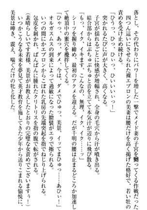年上メイドの新婚日記 Page #152