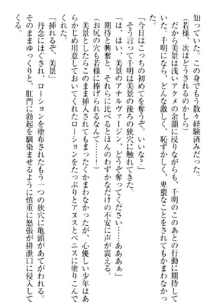 年上メイドの新婚日記 Page #343