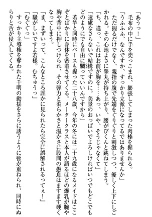 年上メイドの新婚日記 Page #27
