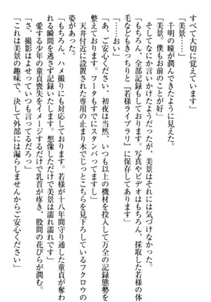 年上メイドの新婚日記 Page #85