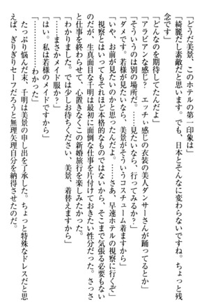 年上メイドの新婚日記 Page #176