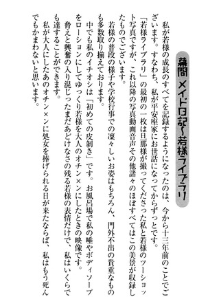 年上メイドの新婚日記 Page #100