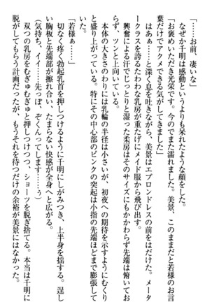 年上メイドの新婚日記 Page #87