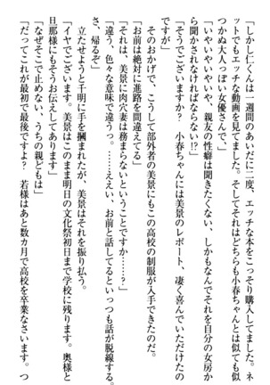 年上メイドの新婚日記 Page #249