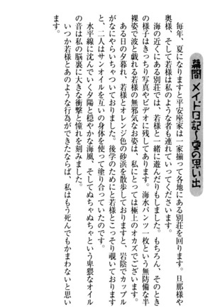 年上メイドの新婚日記 Page #161