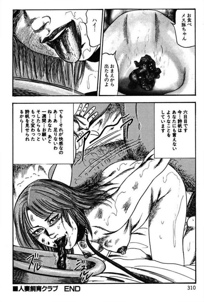 Niizuma No Shuuchi Play