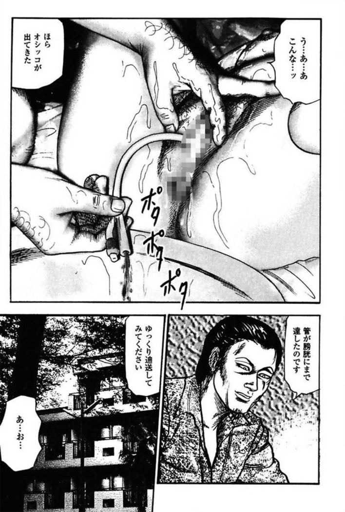 Niizuma No Shuuchi Play