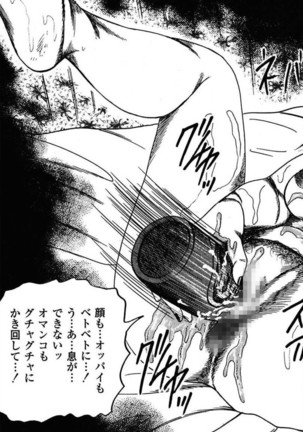Niizuma No Shuuchi Play Page #103