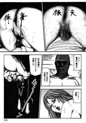 Niizuma No Shuuchi Play Page #261