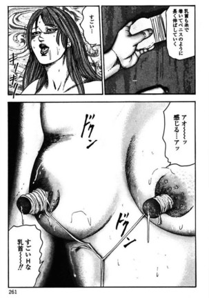 Niizuma No Shuuchi Play Page #263
