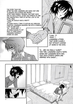 Gundam Seed Destiny - Burning 04 Page #3