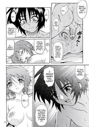 Gundam Seed Destiny - Burning 04 Page #17
