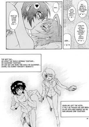 Gundam Seed Destiny - Burning 04 - Page 25