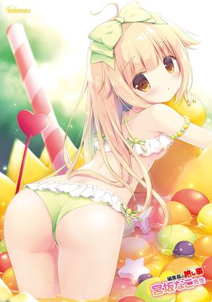 月刊うりぼうざっか店 2018年4月25日発行号 Page #20