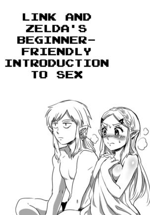 Link to Zelda no Shoshinsha ni Yasashii Sex Nyuumon | Link and Zelda's Beginner-friendly Introduction To Sex - Page 2