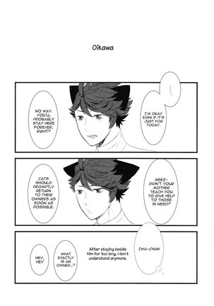 (RTS!!7) [Rototika (Kamishi Yue)] Iwa-chan no Neko ni Naritai | I Want To Be Iwa-Chan’s Cat (Haikyu!!) [English] Page #18