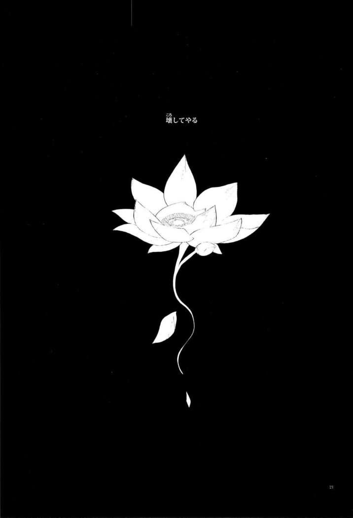 Lotus Phantasmagoria