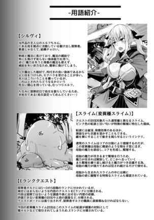 ELFIN QUEST #Slime Haiboku Hen Page #26