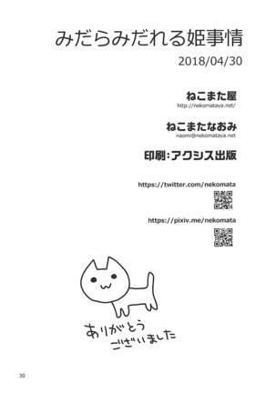 Midara Midareru Hime Jijou - Page 29