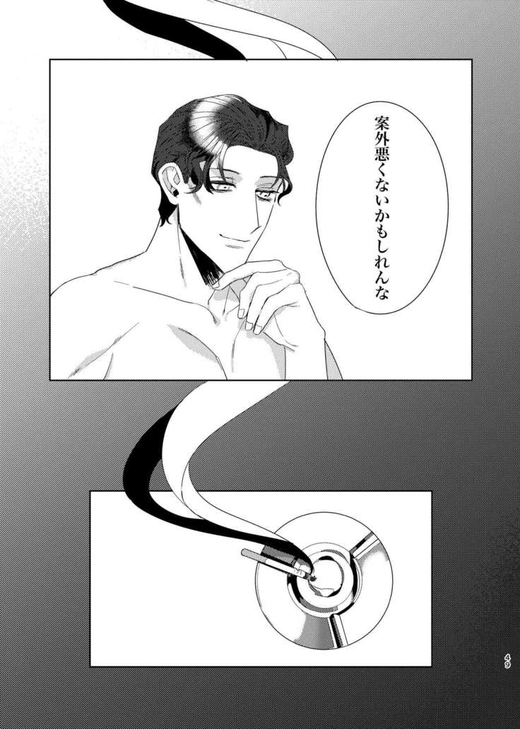 Punika no Kigeki