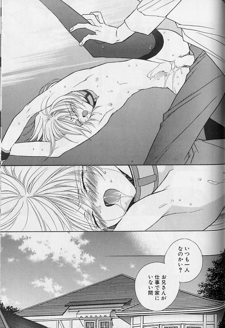 Himitsu No Kemonotachi