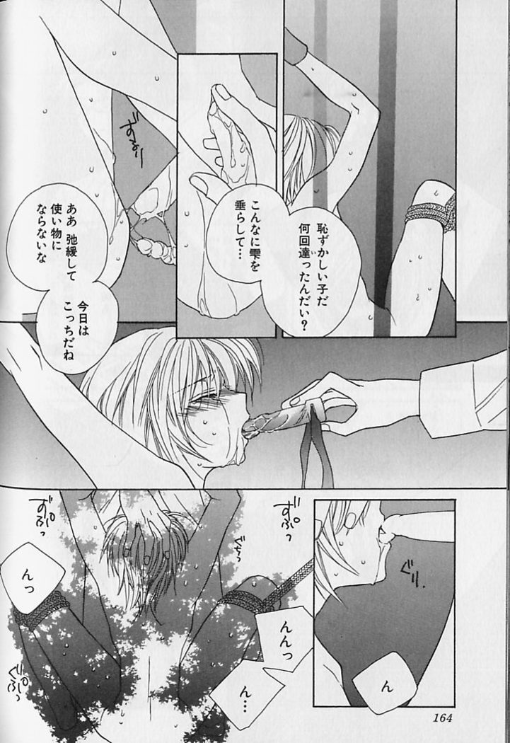 Himitsu No Kemonotachi