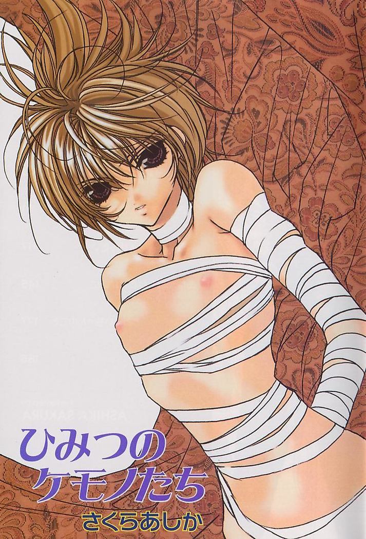 Himitsu No Kemonotachi