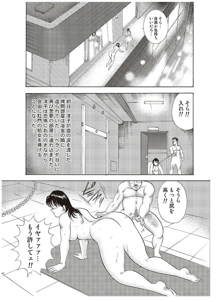 Maihime Chigoku no Ori Vol.3