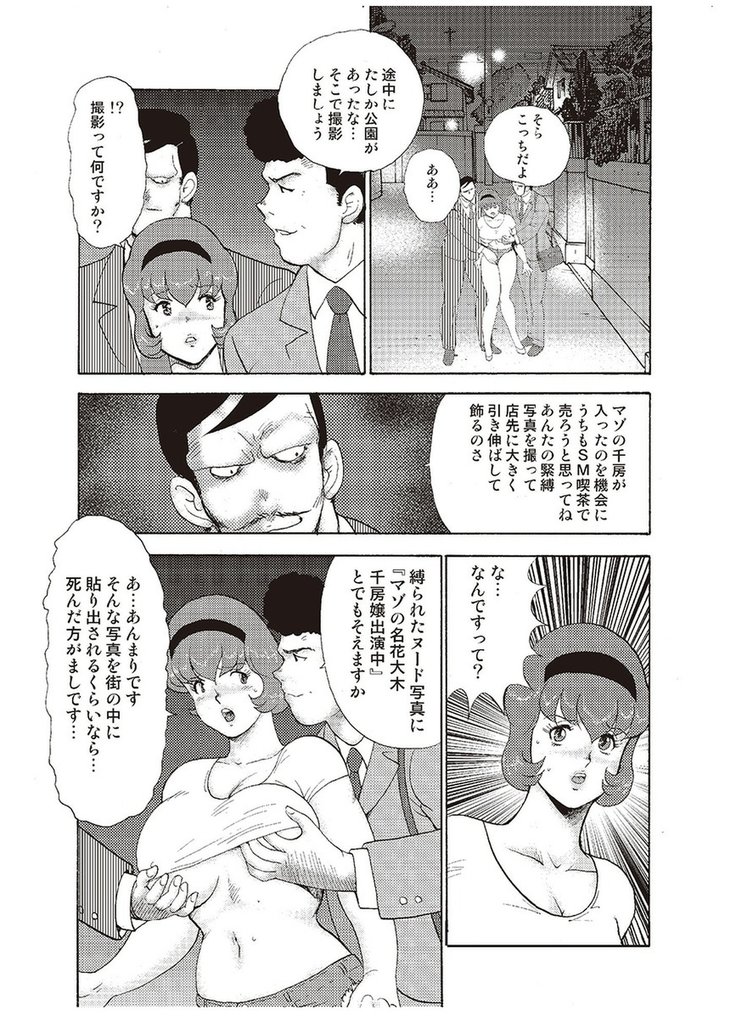 Maihime Chigoku no Ori Vol.3