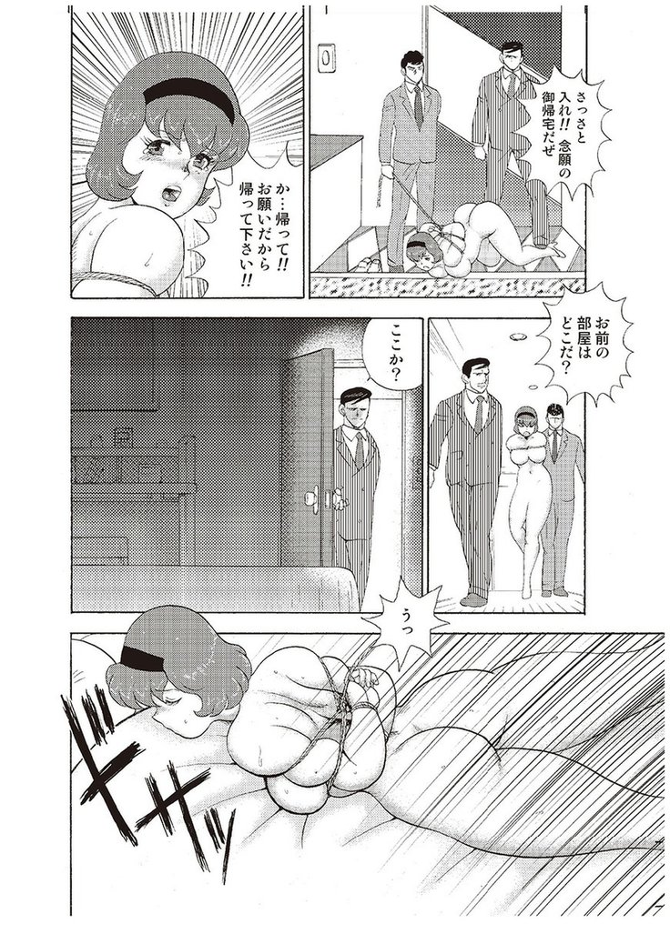 Maihime Chigoku no Ori Vol.3