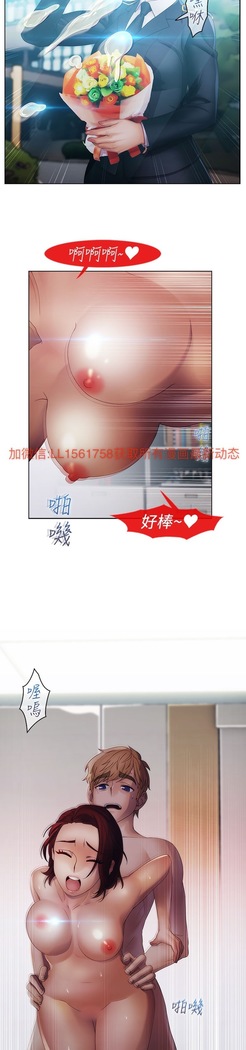 Lady Garden 淑女花苑 第一季