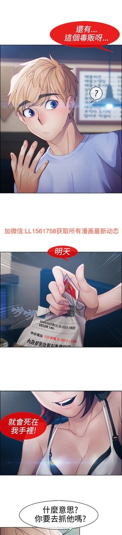 Lady Garden 淑女花苑 第一季