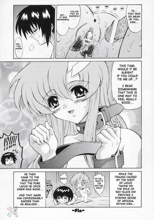 Gundam Seed Destiny Sterness 3 Page #12