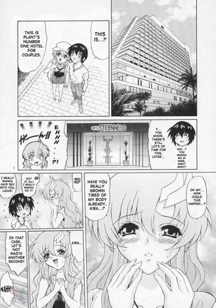 Gundam Seed Destiny Sterness 3 - Page 6