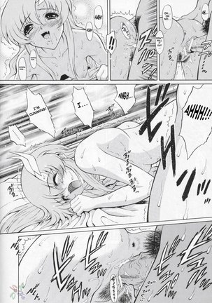 Gundam Seed Destiny Sterness 3 Page #11