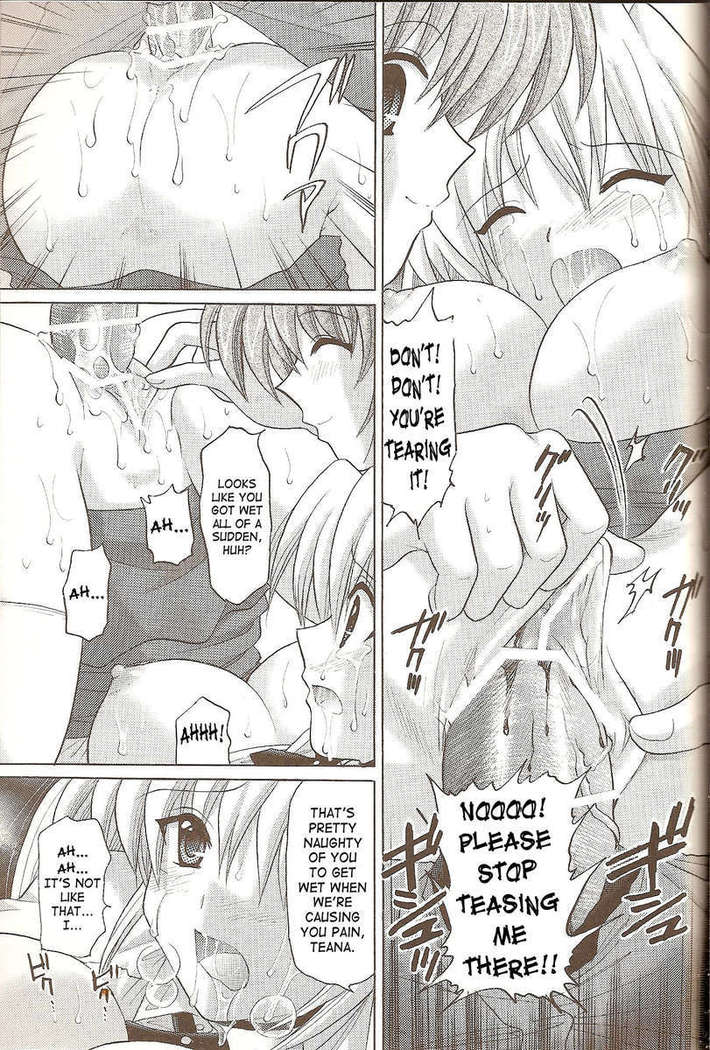 Nanoha no Zettai Zetsumei S+