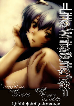 SMP 0.5 Page #13