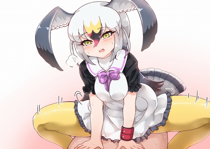 ウミネコちゃんに愛されたい