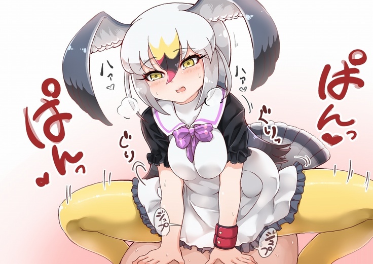 ウミネコちゃんに愛されたい