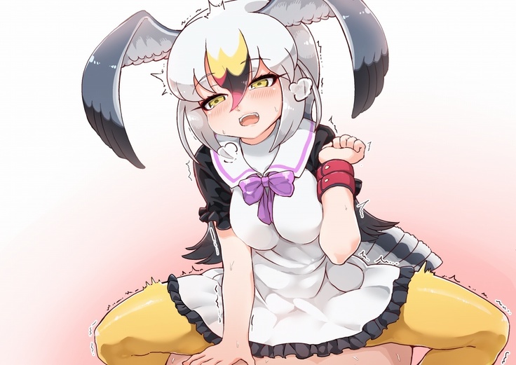 ウミネコちゃんに愛されたい