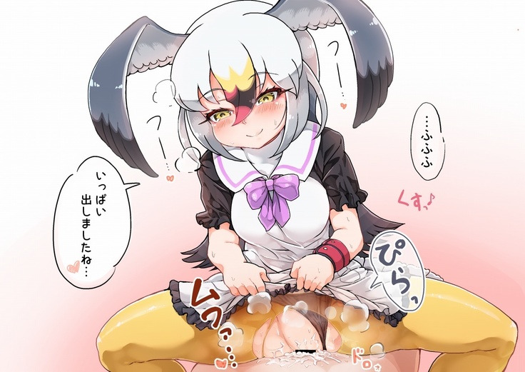 ウミネコちゃんに愛されたい