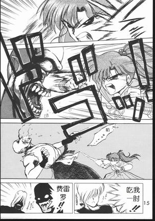 Submission Jupiter Plus Page #17